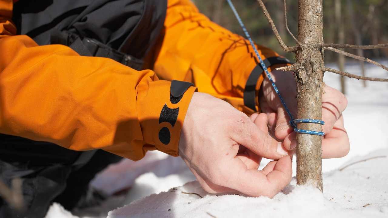 Bushcraft Projects - How to Make a Feather Stick, Tarp Shelter and Snare