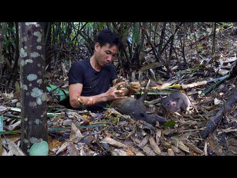 The 6-month survival challenge in the jungle part 2