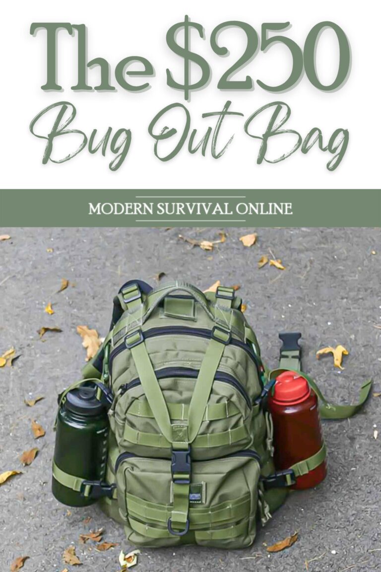 $250 bug out bag pinterest