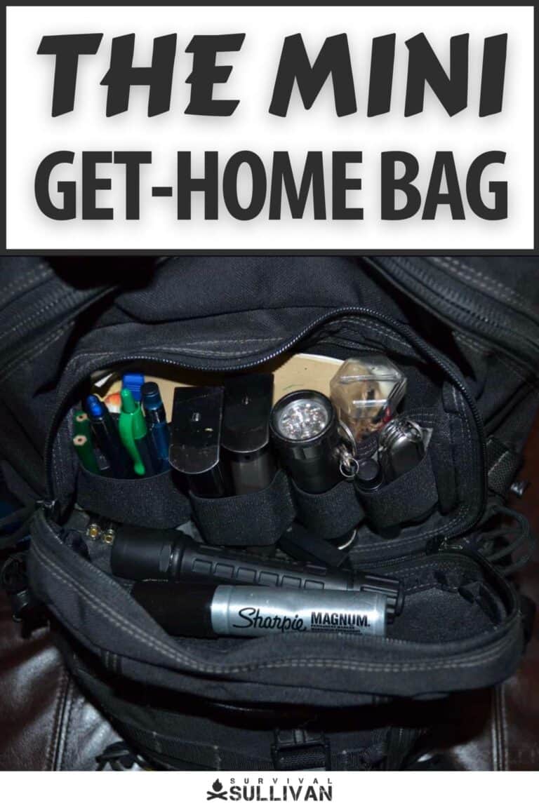 mini get home bag pinterest