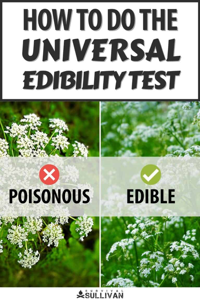 universal edibility test pinterest