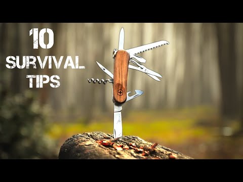 how to survive in the wild