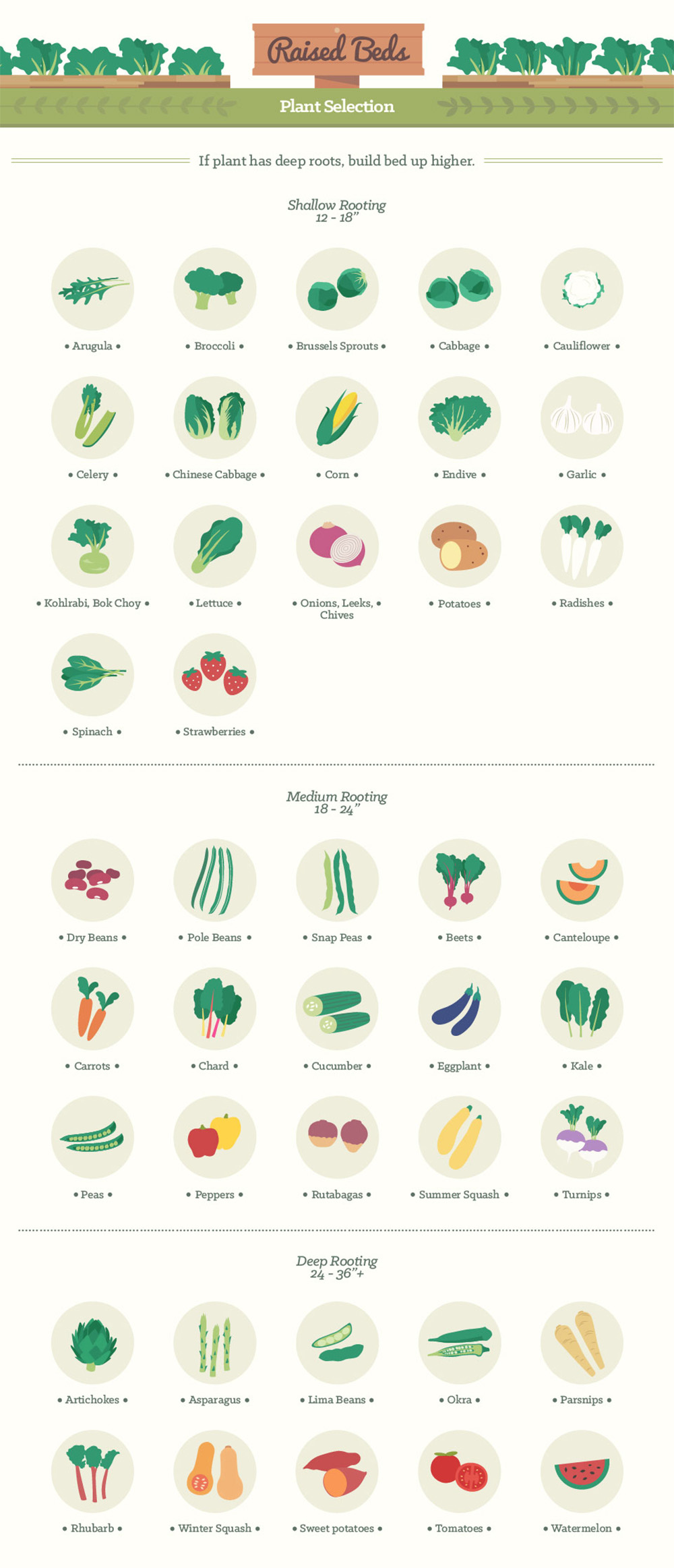 Infographic: Backyard Gardening Tips for Vegetables, Fruits, and Herbs