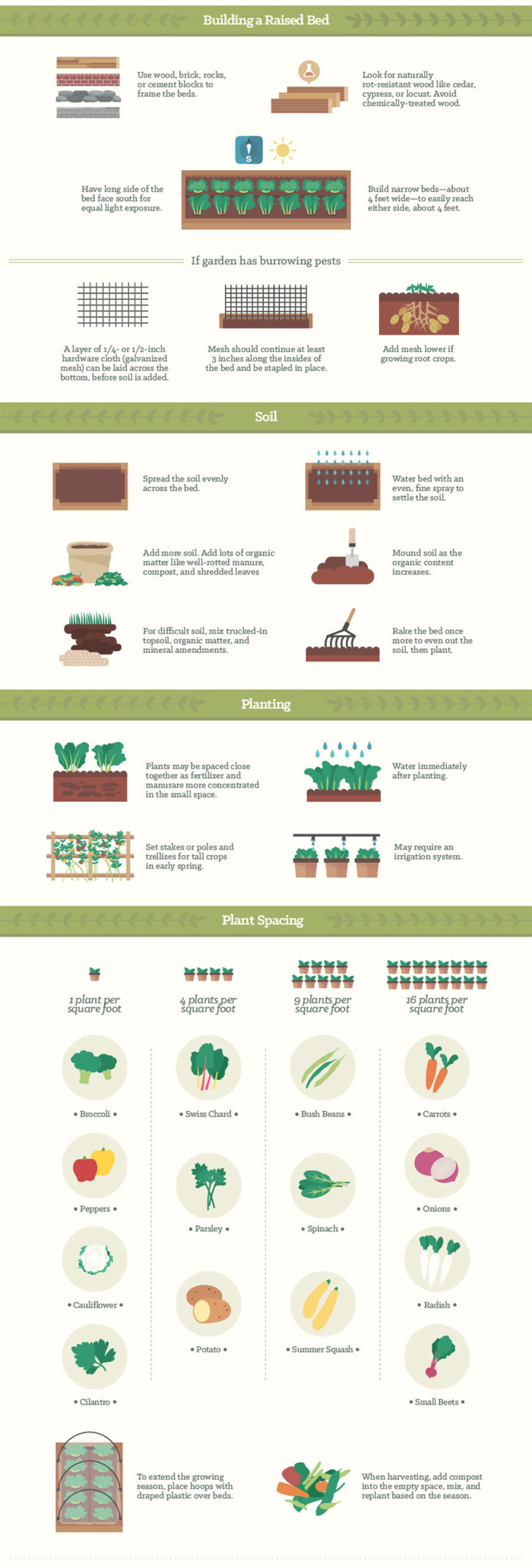 Infographic: Backyard Gardening Tips for Vegetables, Fruits, and Herbs