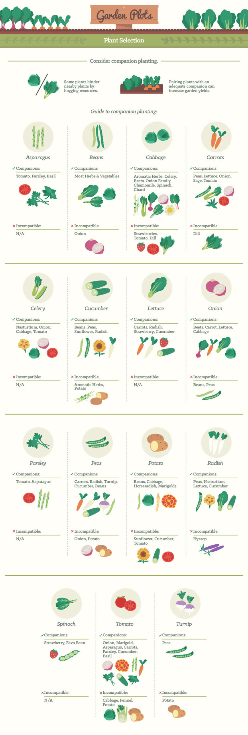 Infographic: Backyard Gardening Tips for Vegetables, Fruits, and Herbs