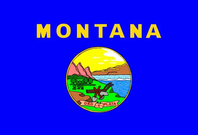 montana flag