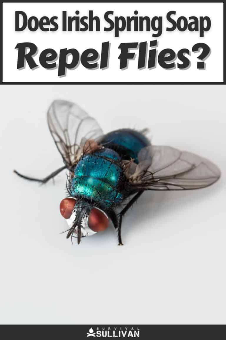 irish spring repelling flies pinterest