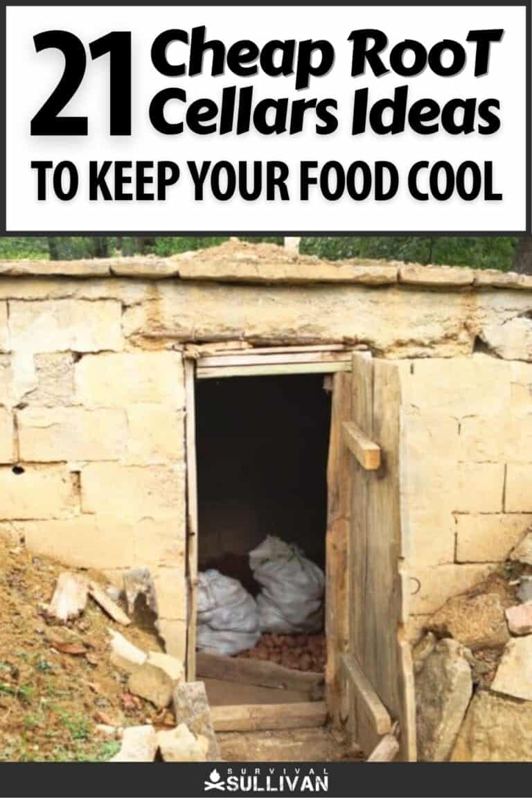 cheap root cellars ideas pinterest