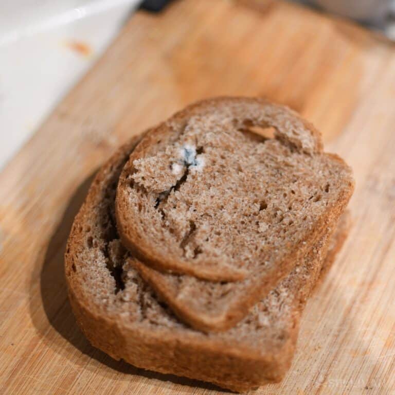 a moldy loaf of bread