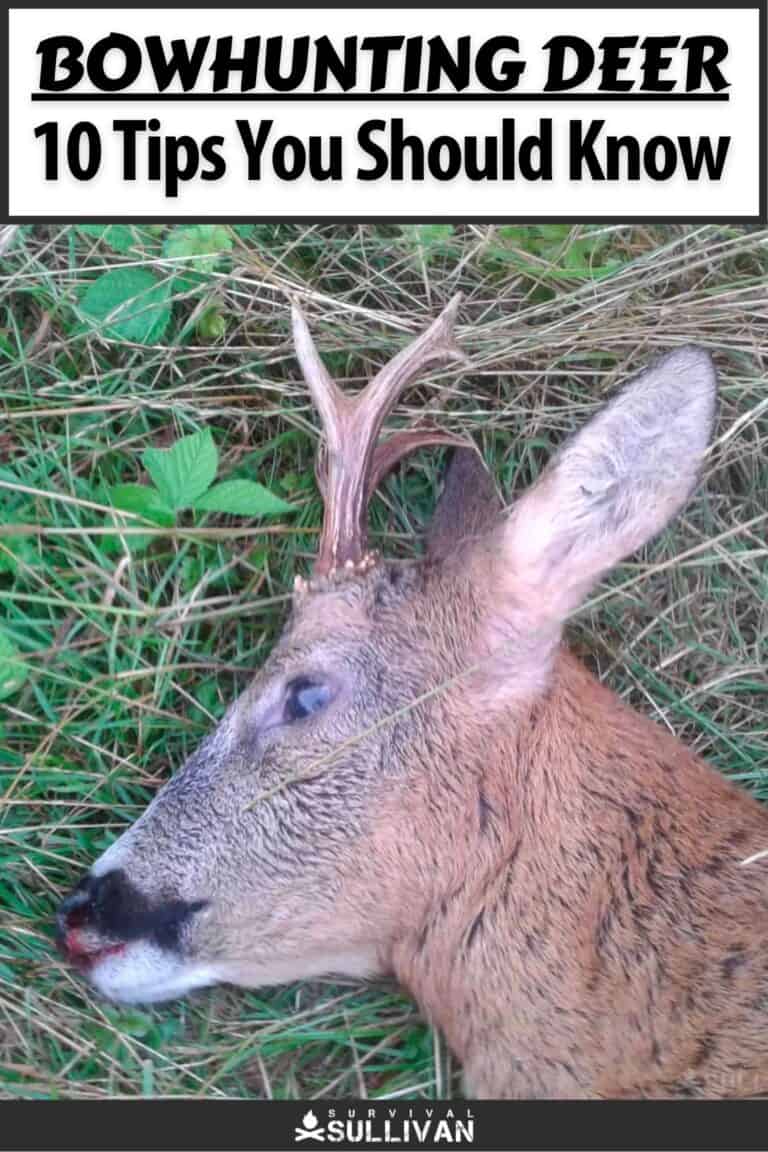 bowhunting deer tips pinterest