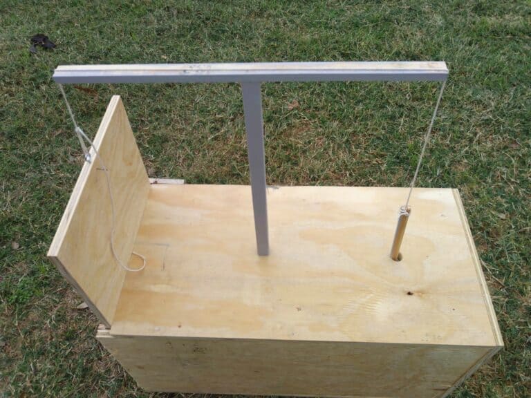 DIY raccoon trap top view