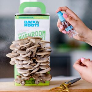 How to Grow Edible Mushrooms