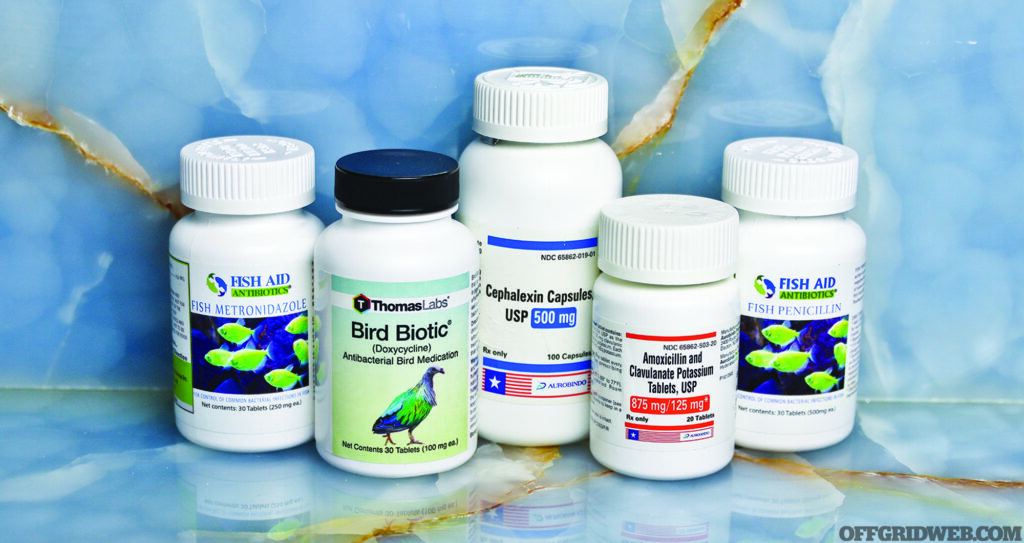 Photo of several different types of animal antibiotics in their respective bottles as survival medical suggestions.