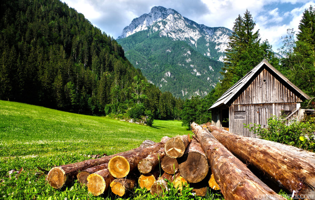 Photo of a pile of logs outside of a wooden cabin with mountains and alpine forests in the background.