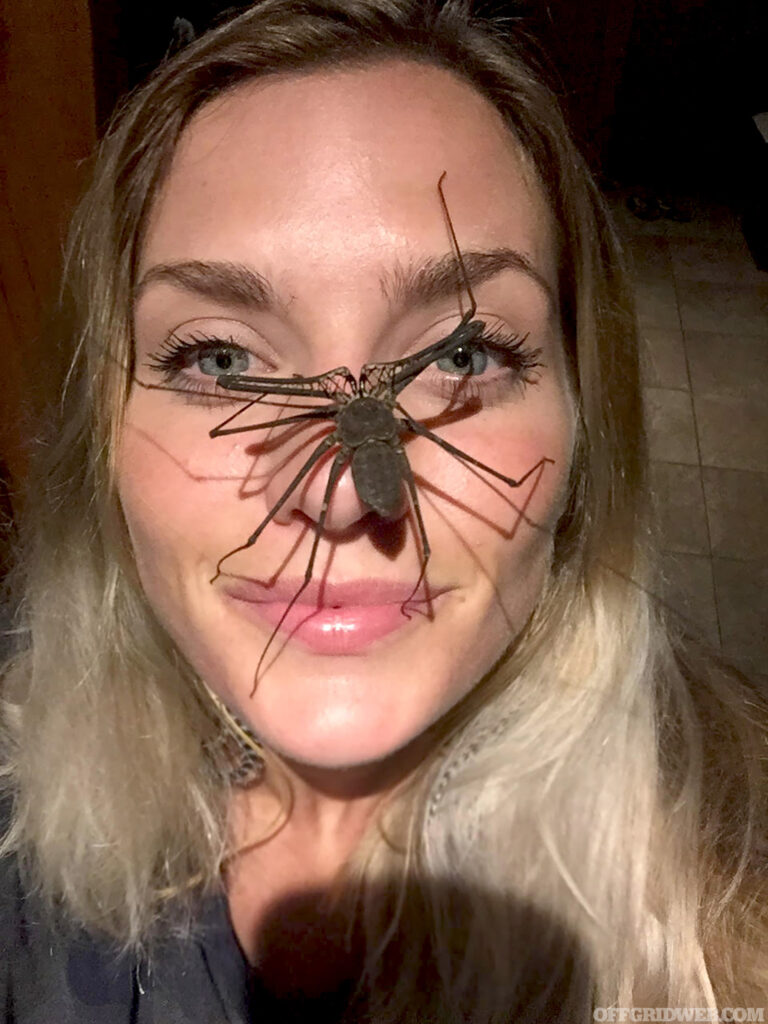 Photo of Melissa Miller smiling while a giant bug crawls up her face.