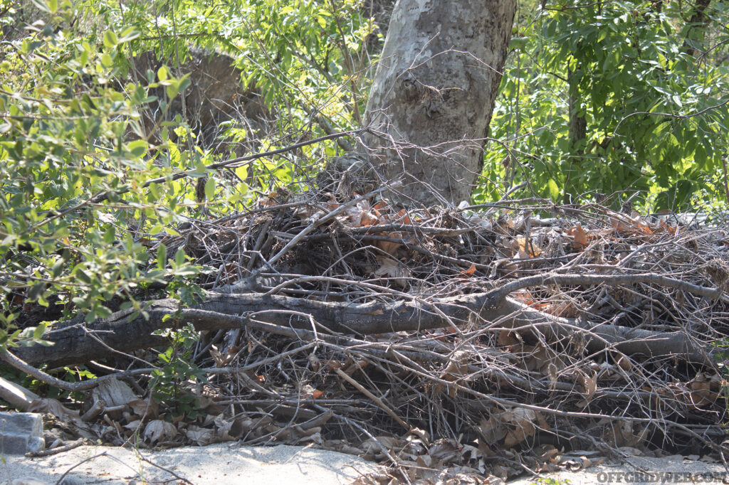 A Camostalk 360 student concealed behind a fallen tree.