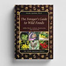 The Forager’s Guide To Wild Foods