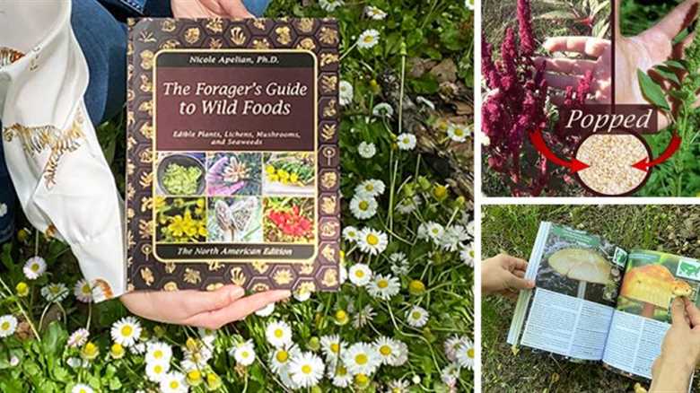 The Forager’s Guide To Wild Foods