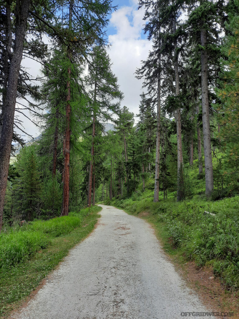 Photo of a gravel road through the forest.