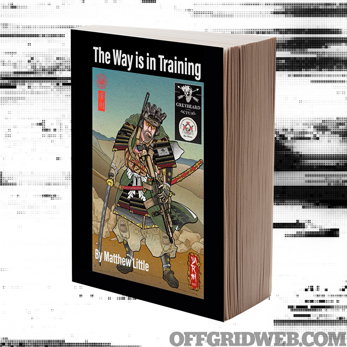 Featured image of the book, The Way is in Training.