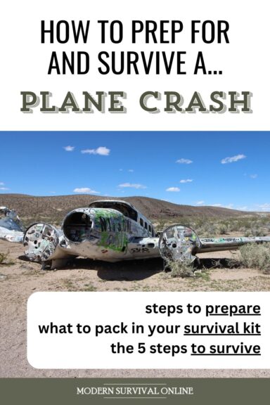 plane crash survival pin