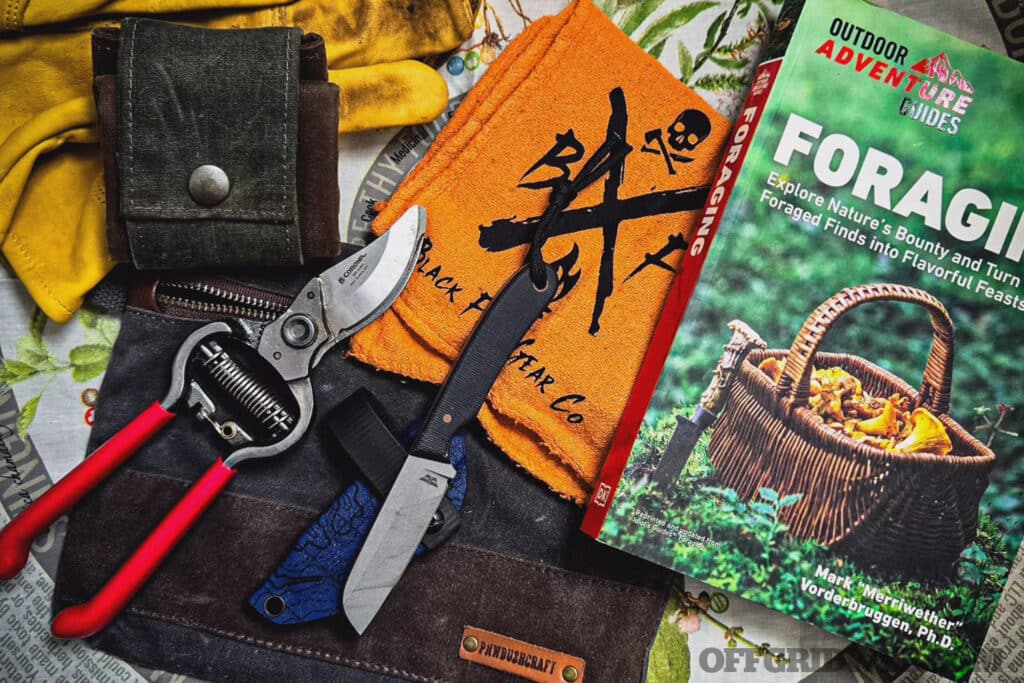 image of assorted foraging supplies, including field guide, knife, pruning shears, and pouches