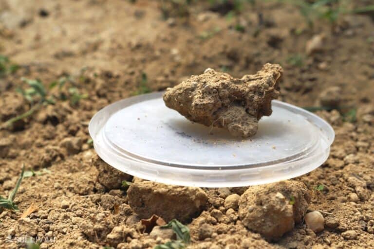 small rock on top of plastic lid