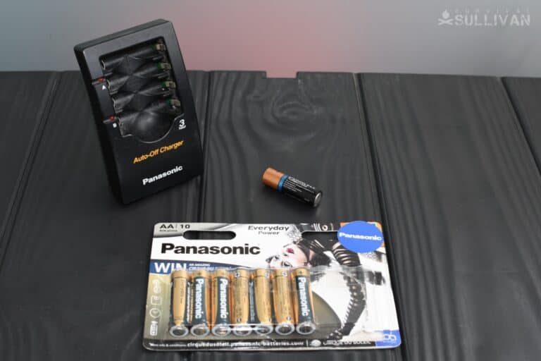 eight alkaline AA batteries and charger