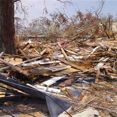 Tropical Cyclone Aftermath: Post-Storm Survivor Strategy