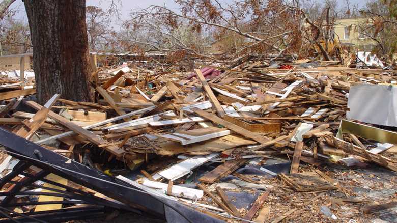 Tropical Cyclone Aftermath: Post-Storm Survivor Strategy