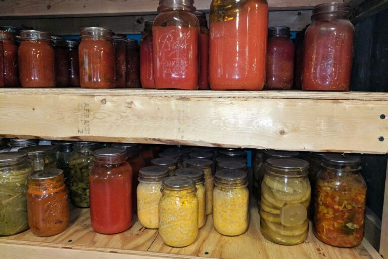 shelves with canned food