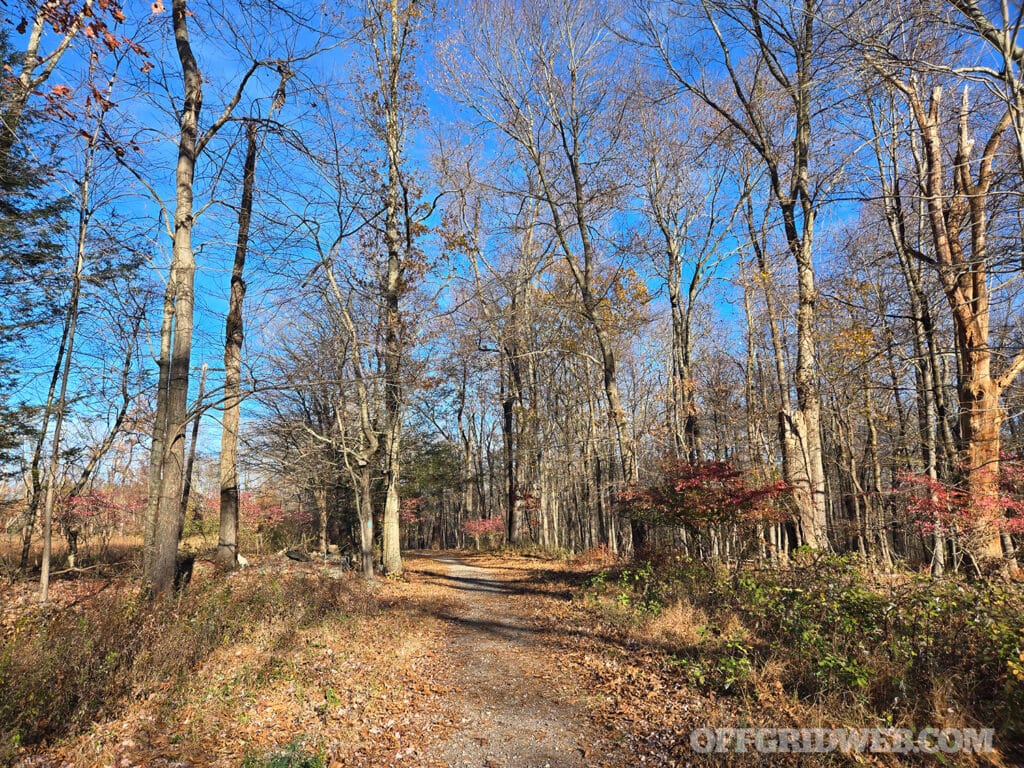 flat trail in rockhouse hill