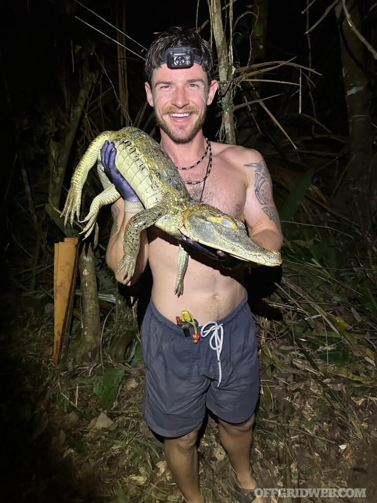 Magnin with an alligator